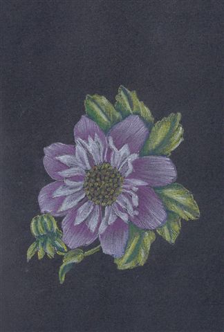 Also painted with coloursoft pencils